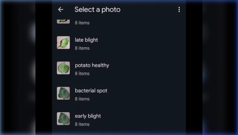 Rogcheck - Crop Disease Identification App